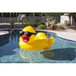 Yellow duck with Sunglasses